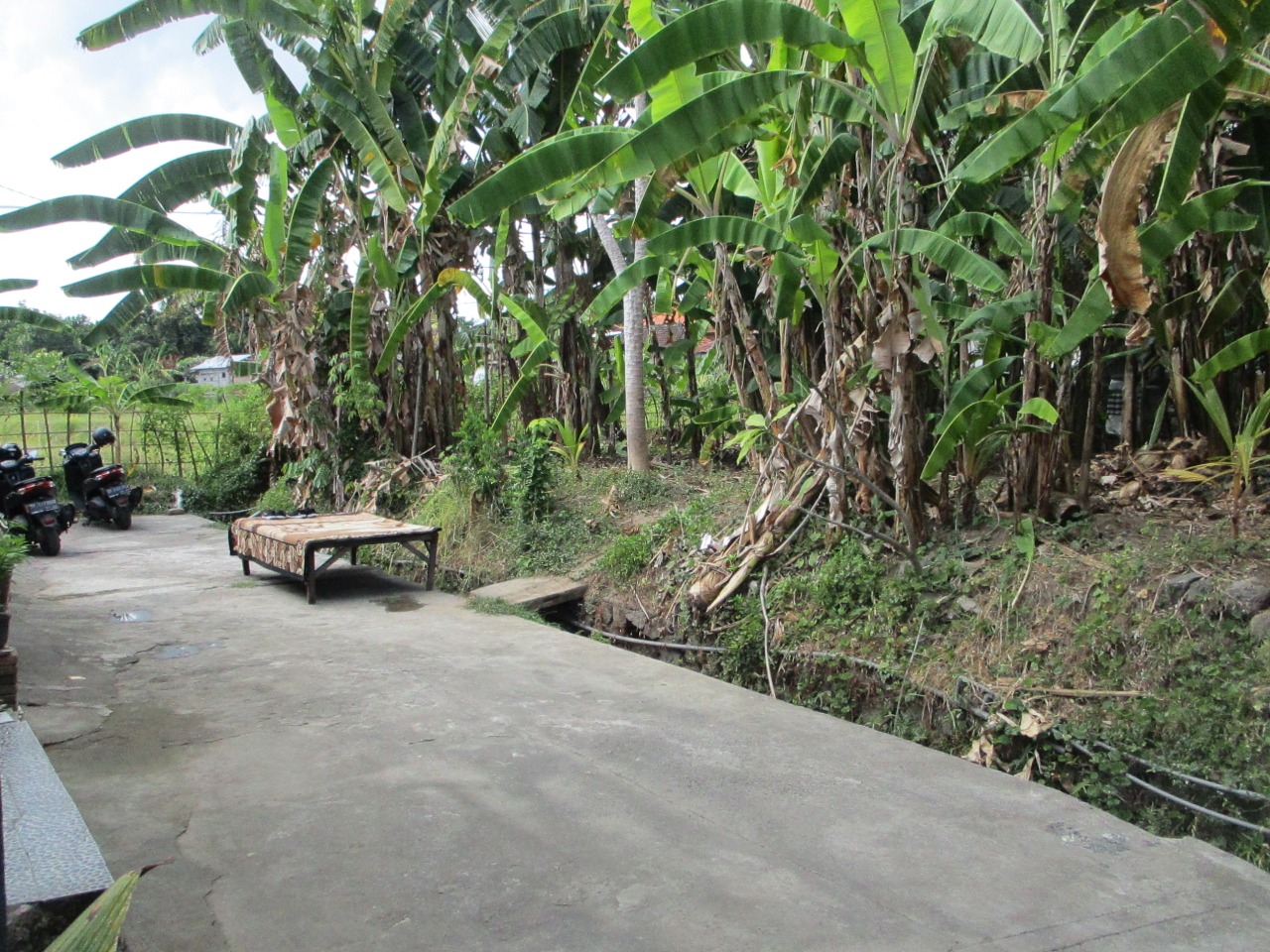 Tanah Kosong